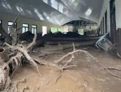 hokipalace - BNPB Ungkap Alih Fungsi Lahan Picu Kerentanan Bencana, Dampak di Sumatera Melonjak Tajam